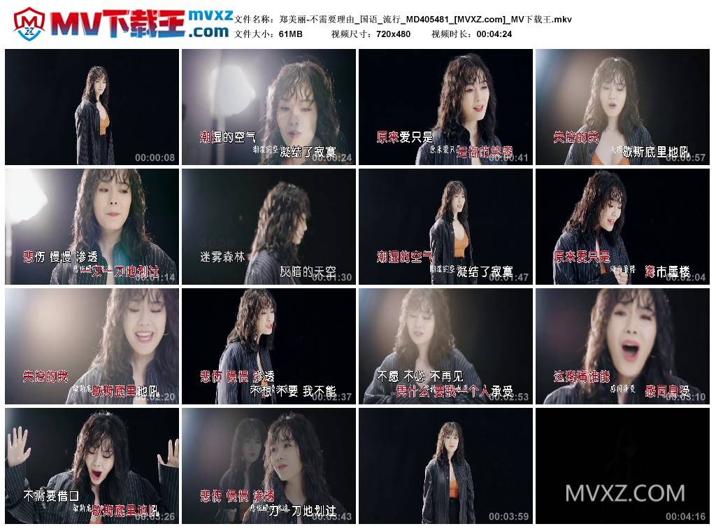 郑美丽-不需要理由_国语_流行_MD405481